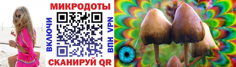 Галлюциногенные грибы ЛСД  Дмитриев 
